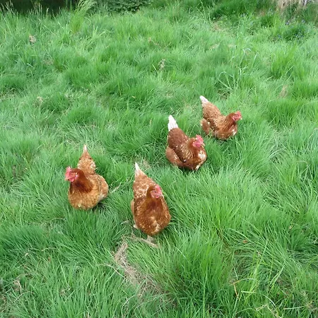 Waldau Apartmán Aerzen